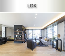 LDK